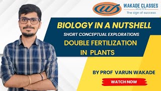 Double Fertilization in plants [upl. by Anivel]