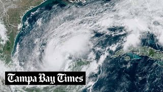 Heres how you can stay updated on Hurricane Milton with the Tampa Bay Times [upl. by Read]