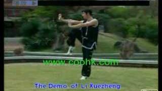 Southern Shaolin Kung Fu Arhat 18 Fist 574 coohk [upl. by Earehc613]