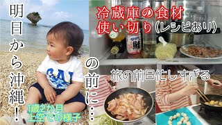 【40代2児ママVlog】長期旅行前日冷蔵庫を空っぽにする！1歳2か月自由すぎる空の旅甲状腺疾患 [upl. by Aracat]