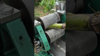 A Sweet Stalk to Remember cane sugarcane juice fresh machine asmr satisfying [upl. by Akima]