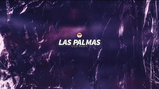 LAS PALMAS  Dancehall con Palmas Flamencas  2024 [upl. by Ssew]