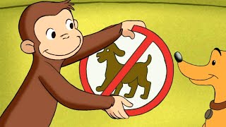 Jorge el Curioso en Español 🐵Confusión de Letreros 🐵Mono Jorge🐵Caricaturas para Niños [upl. by Ponton402]