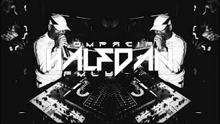 WINSIDE X DZDON PONTE DECK HALFDAN RMX 2K23 [upl. by Hako]