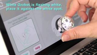 Learn to Code Getting started with OzoBlockly and Ozobot Bit robot [upl. by Barbur]