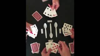 How To Play Spoons [upl. by Puttergill]