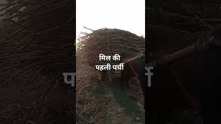 Mil ki phali parchi  pedi ganna 0238 ki phali bogi  मिल की पहली पर्ची  subscribe channel [upl. by Grannie518]