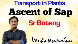 Ascent of Sap  Root Pressure  Transport in Plants VenkatBotany [upl. by Cynthea962]