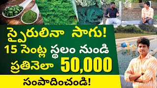 Spirulina Farming In Telugu  How to Start Spirulina Farming Business  స్పైరులినా ఫార్మింగ్ [upl. by Ecam]