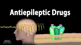 Pharmacology  Antiepileptic Drugs Animation [upl. by Ellennod]