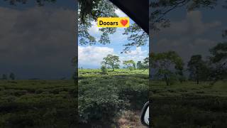 Dooars North Bengal ll Dritika Vlogs ll Dooars Tour shorts [upl. by Noy]