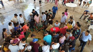 Feria del queso 🧀 2022  Almagres Veracruz [upl. by Lettie]