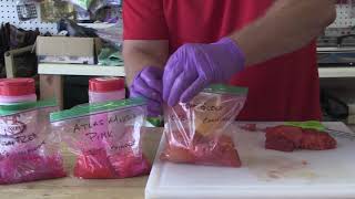 Curing Salmon Eggs With Scott Haugen [upl. by Ramed]