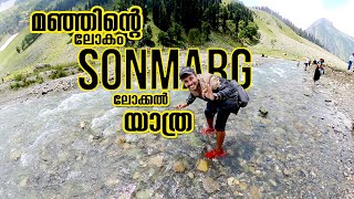 Sonmarg Kashmir  Places To See In Sonmarg  Srinagar To Sonmarg Kashmir by Road  KK TRIP EP07 [upl. by Ear5]