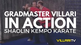 Grandmaster Fred Villari Cuts Loose  Shaolin Kempo Karate [upl. by Marybella]