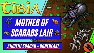 🚨TIBIA MELHOR HUNT PARA MAGE LOW LEVEL MOTHER OF SCARABS LAIR [upl. by Suoicerpal478]