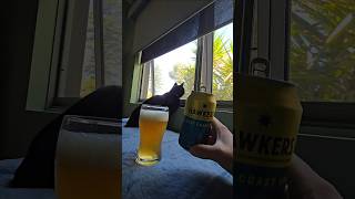 Hawkers  West Coast IPA 72  abv craftbeer cat beer [upl. by Joses]