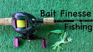 Bait Finesse Fishing fishing bassfishinglife [upl. by Lehcir763]