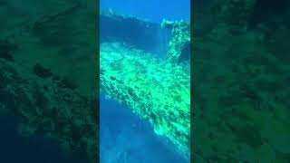 Altes versunkenes Schiff egypt ship travel diving fish water beach old vacation africa [upl. by Mace791]