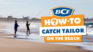 How to Catch Tailor  Beach Fishing [upl. by Acilgna462]