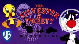 The Sylvester amp Tweety Mysteries  theme song Dutch [upl. by Ydnak]