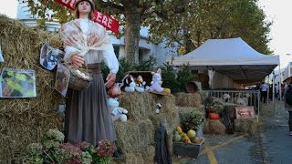 Foire de la Barguillère à Foix [upl. by Katee]