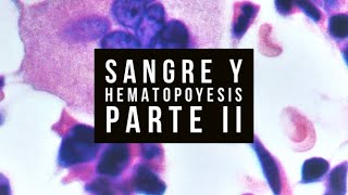 🩸SANGRE Y HEMATOPOYESIS  Parte II [upl. by Ardnaskela]