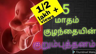 fast pregnancy tips from day one in tamil  how to pregnant fast and naturally in tamil  pregnant [upl. by Bennink284]