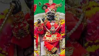 Shri Radha Raman Lal Ji Darshan vrindavan shorts trending youtubereels radhakrishna radheradhe [upl. by Rucker]