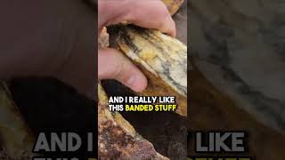 Finding Gold Ore with Sulfides A Prospectors Guide [upl. by Nalahs]