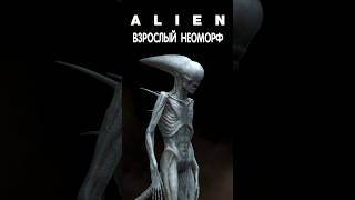 Alien  Взрослый Неоморф alien aliens alienisolation aliendarkdescent чужой alienromulus [upl. by Lotsirk]