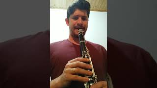 clarinete noblet artist venda [upl. by Vernon585]