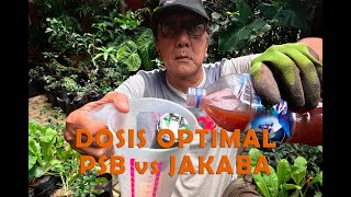 Takaran atau dosis optimal PSB VS Jakaba [upl. by Irving]