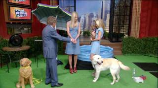 HD Dog Pees amp Poops Live on TV  Regis amp Kelly  Howard Sterns Wife Beth Ostroskys Retriever [upl. by Eanahc943]