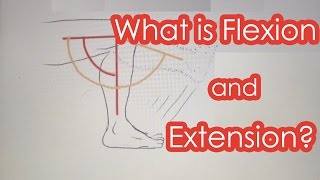 What is Flexion and Extension [upl. by Frost]