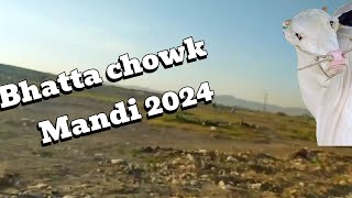 Bhatta Chowk Mandi 2024  Update 22052024 [upl. by Augie]