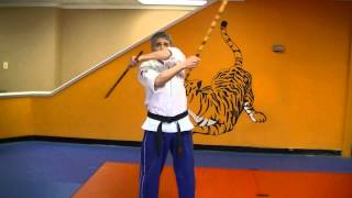 Butterfly Stick Drill  Workouts amp Drills For Martial Arts [upl. by Scopp]