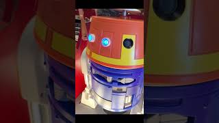 Let’s Build Star Wars Droids at Disney [upl. by Eelnodnarb]