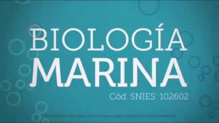 Promo  Biologia Marina  Universidad del Sinú [upl. by Nuaj]