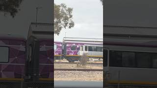 Goolwa depot [upl. by Rambert406]