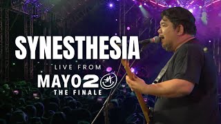 Synesthesia  Mayonnaise Live at QC Circle  Mayo 20 The Finale [upl. by Annoval814]