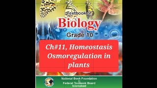 Biology 10th Ch11 Homeostasis Osmotic adjustmentOsmoregulation in plants [upl. by Nitsoj]