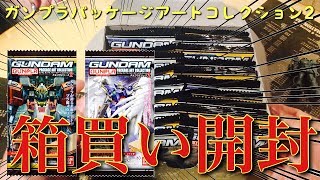 【開封動画】待ってましたァーーーガンプラパッケージアートコレクション2箱買い [upl. by Anderer773]