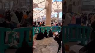 Tajdar e Haram by fatimakhan trending shorts naat [upl. by Medor]