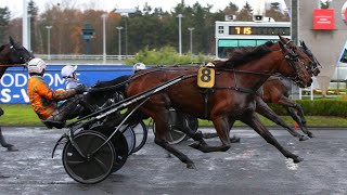 Live Hippique du 20112022  Vincennes Bordeaux le Bouscat et Saint Galmier  Quinté à 15h15 [upl. by Kablesh508]