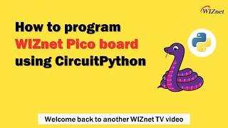 WIZnet amp Raspberry Pi Pico  CircuitPython Guide  WiFi  Ethernet  LED  Blink  Example [upl. by Muhcon]