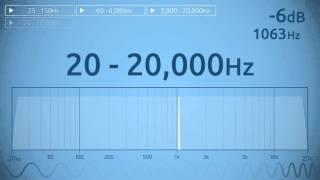 20  20000 Hz Audio Sweep  Range of Human Hearing [upl. by Irac]