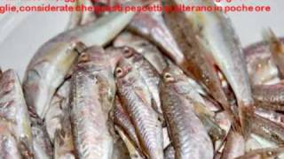 Frittura di calamari gamberi rossi e per fortuna fragagli di triglia [upl. by Bergmans30]