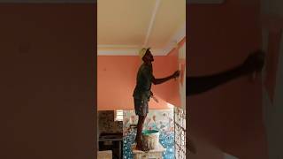 JSW interior paint 2024 home 2024shorts house jsw paint shortvideo shorts [upl. by Apurk]