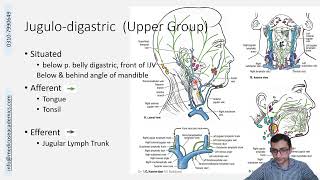 Lymphatics of Head and Neck [upl. by Adnovaj]